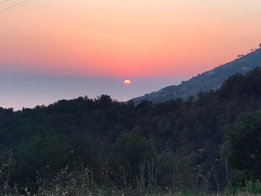 Il Cerro Agriturismo Zagarese Fuscaldo Exterior foto
